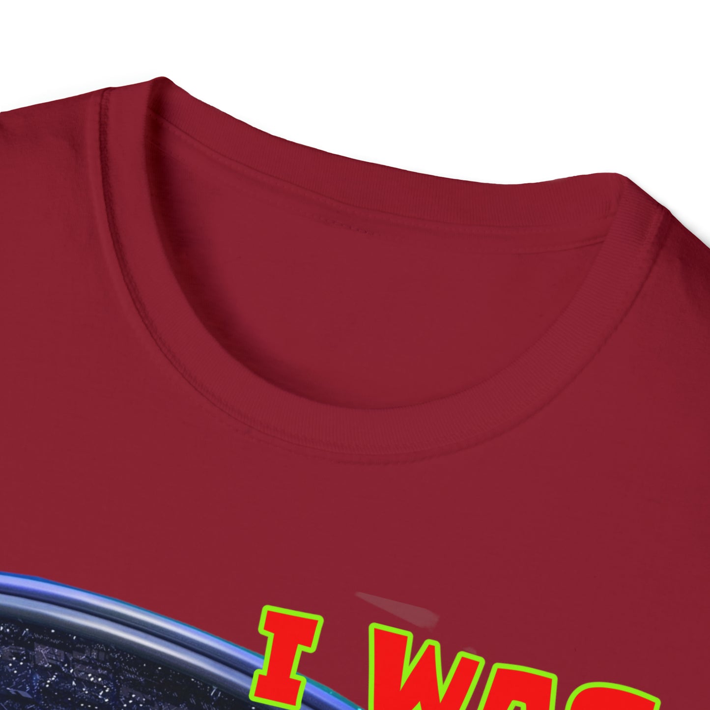 I WAS ABDUCTED BY ALIENTS, AND ALL I GOT... UNISEX COTTON T-SHIRT