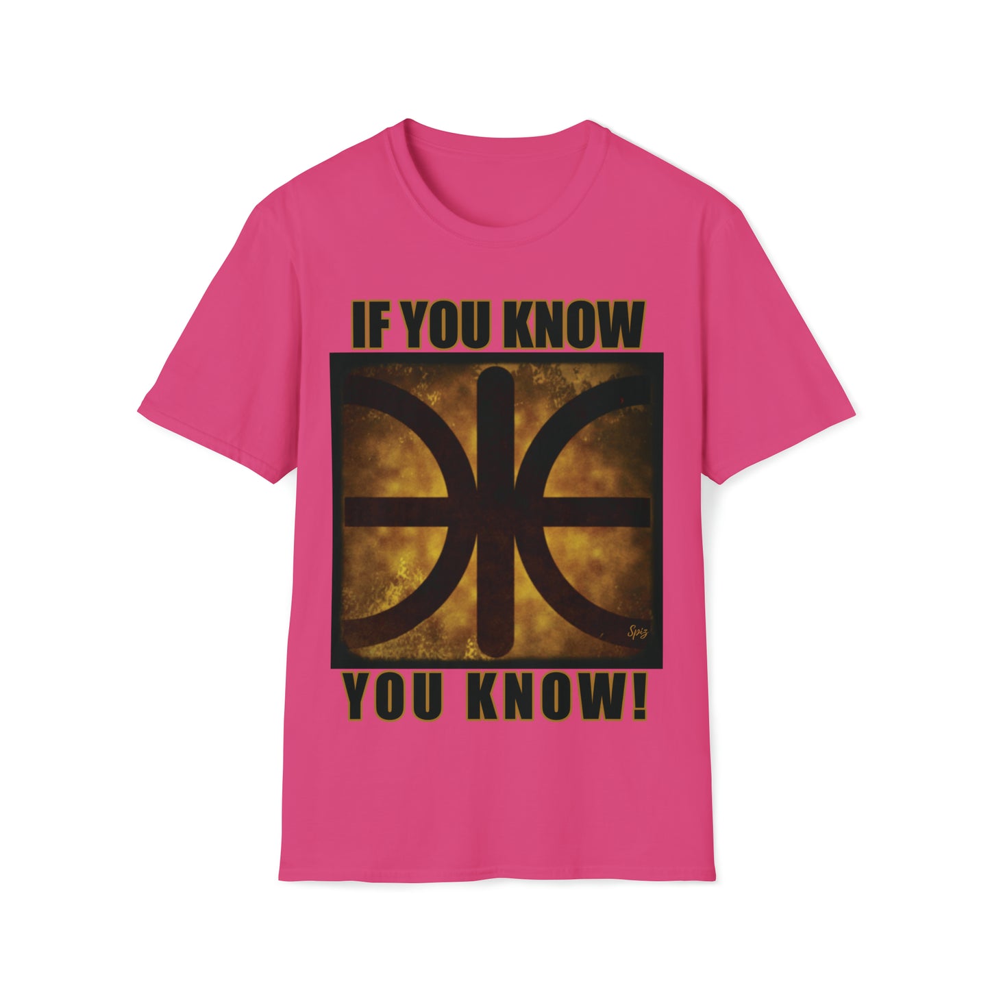 T "EPSILON TEAM" 'If you know, you know' Alien Autopsy Unisex Softstyle T-Shirt