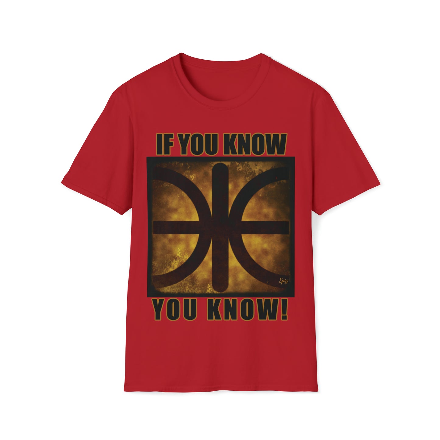 T "EPSILON TEAM" 'If you know, you know' Alien Autopsy Unisex Softstyle T-Shirt