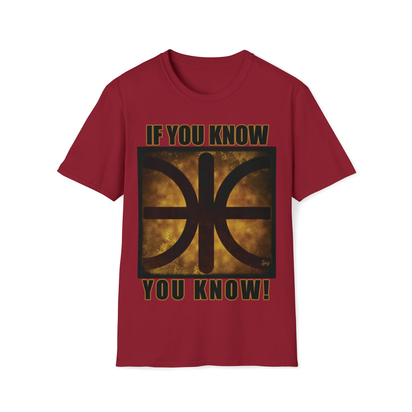 T "EPSILON TEAM" 'If you know, you know' Alien Autopsy Unisex Softstyle T-Shirt
