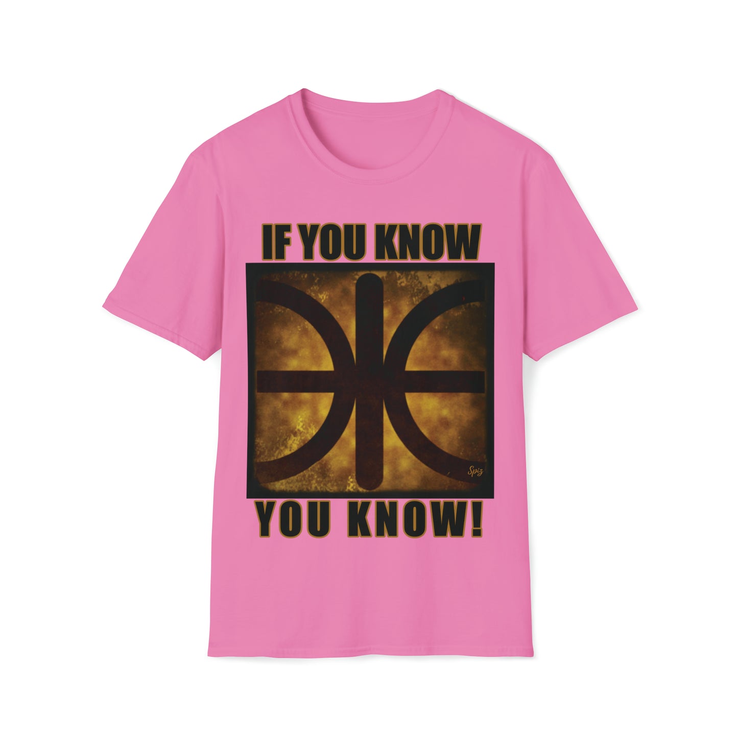 T "EPSILON TEAM" 'If you know, you know' Alien Autopsy Unisex Softstyle T-Shirt