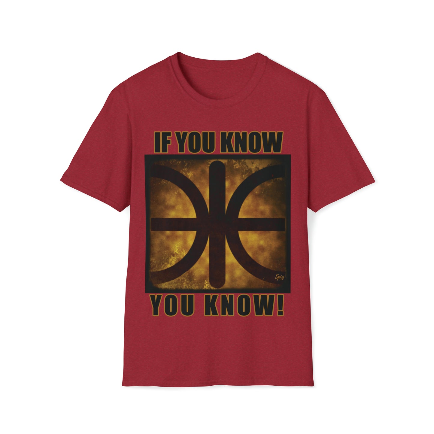 T "EPSILON TEAM" 'If you know, you know' Alien Autopsy Unisex Softstyle T-Shirt