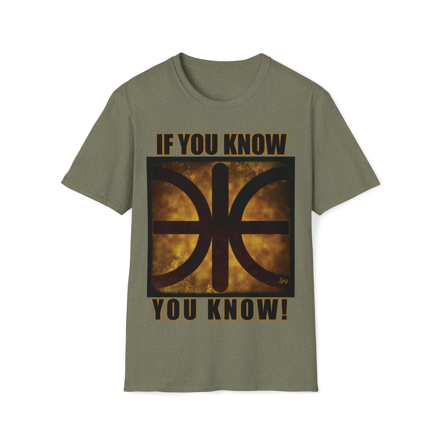 T "EPSILON TEAM" 'If you know, you know' Alien Autopsy Unisex Softstyle T-Shirt